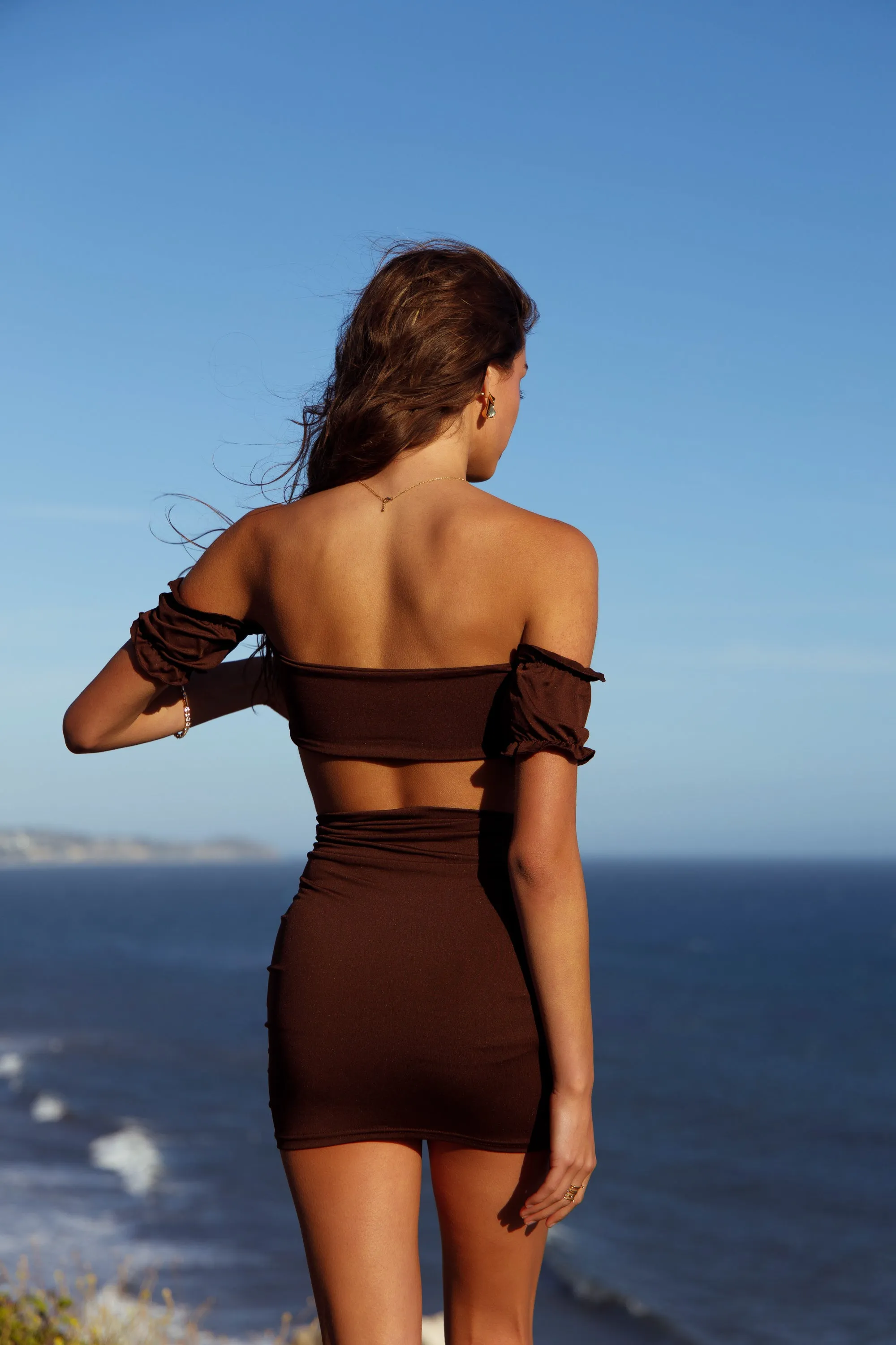 Brown Chic Draped Adjustable Straps Skirt Two-piece Dress